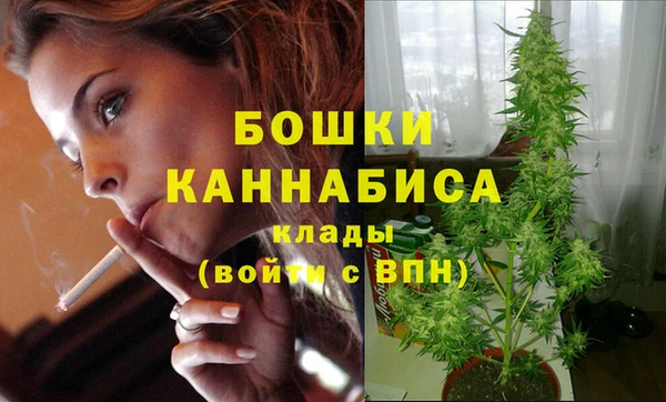 мяу мяу мука Медвежьегорск